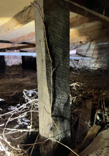 Greater Geelong Building and Pest Inspections assessment in progress