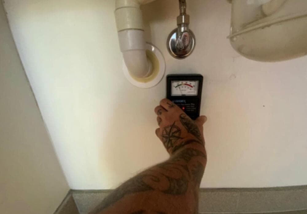 Importance of pest inspections